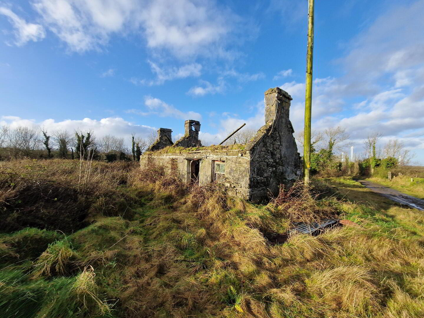 Derelict House, And 12.42 Acres Of Forestry At Cuillaun