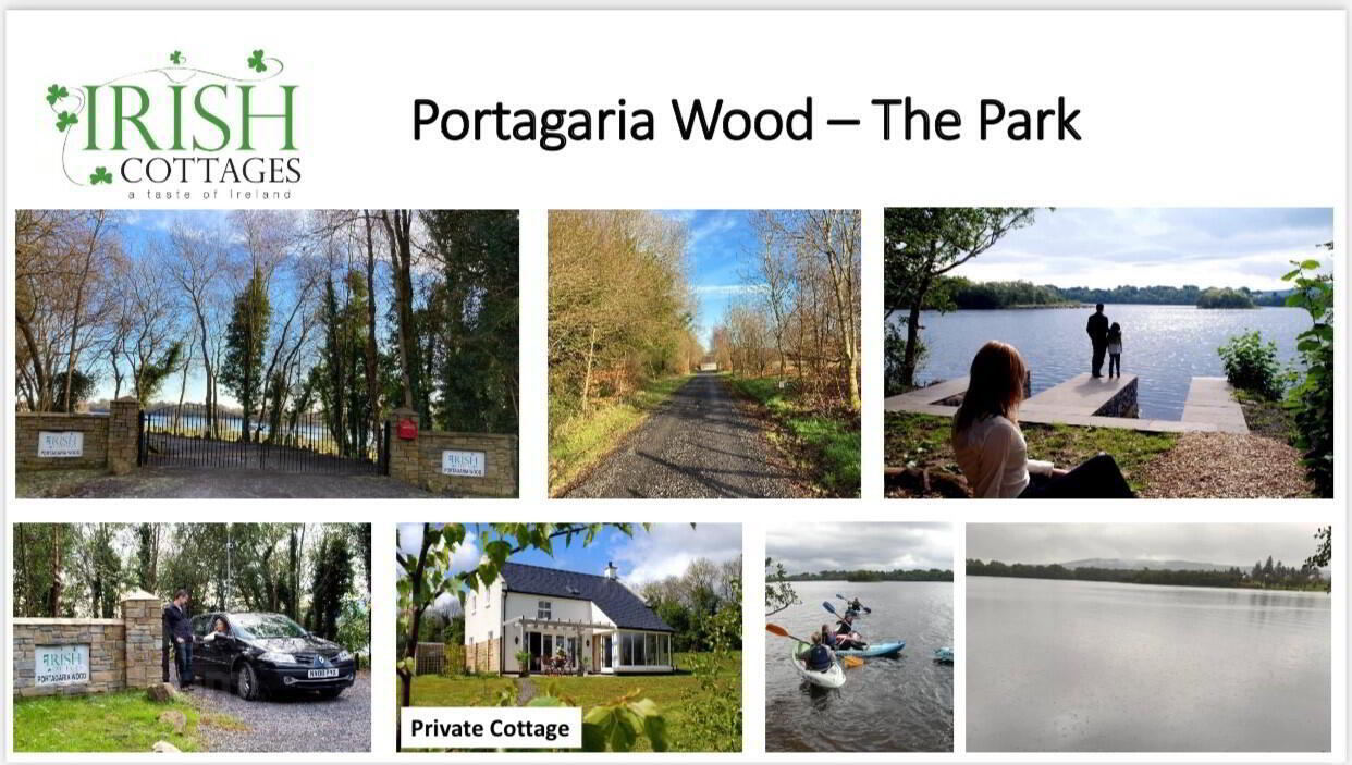 Portagaria Wood 1