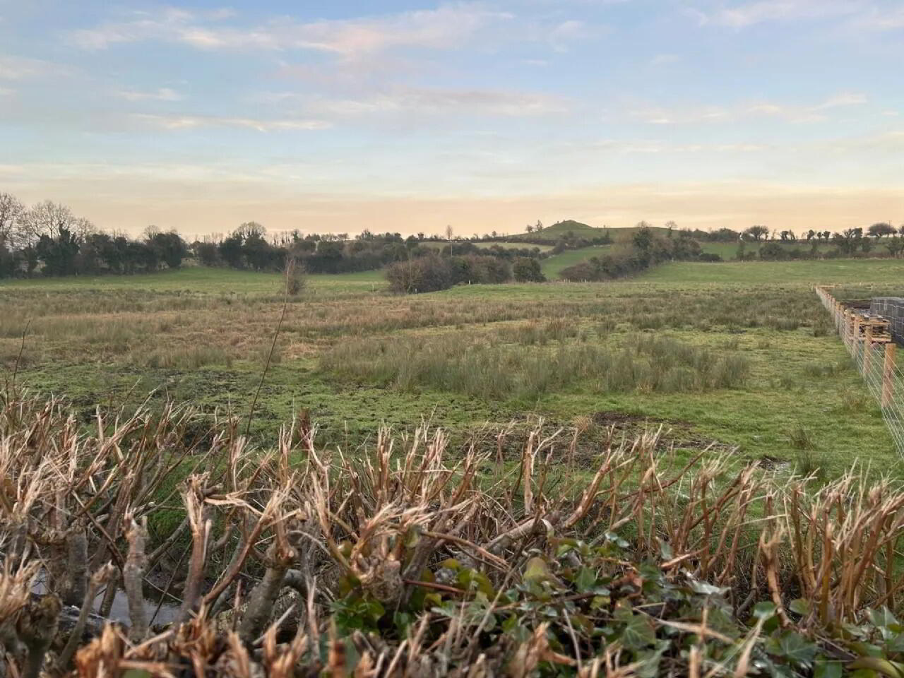 Site 2 Loughnavalley