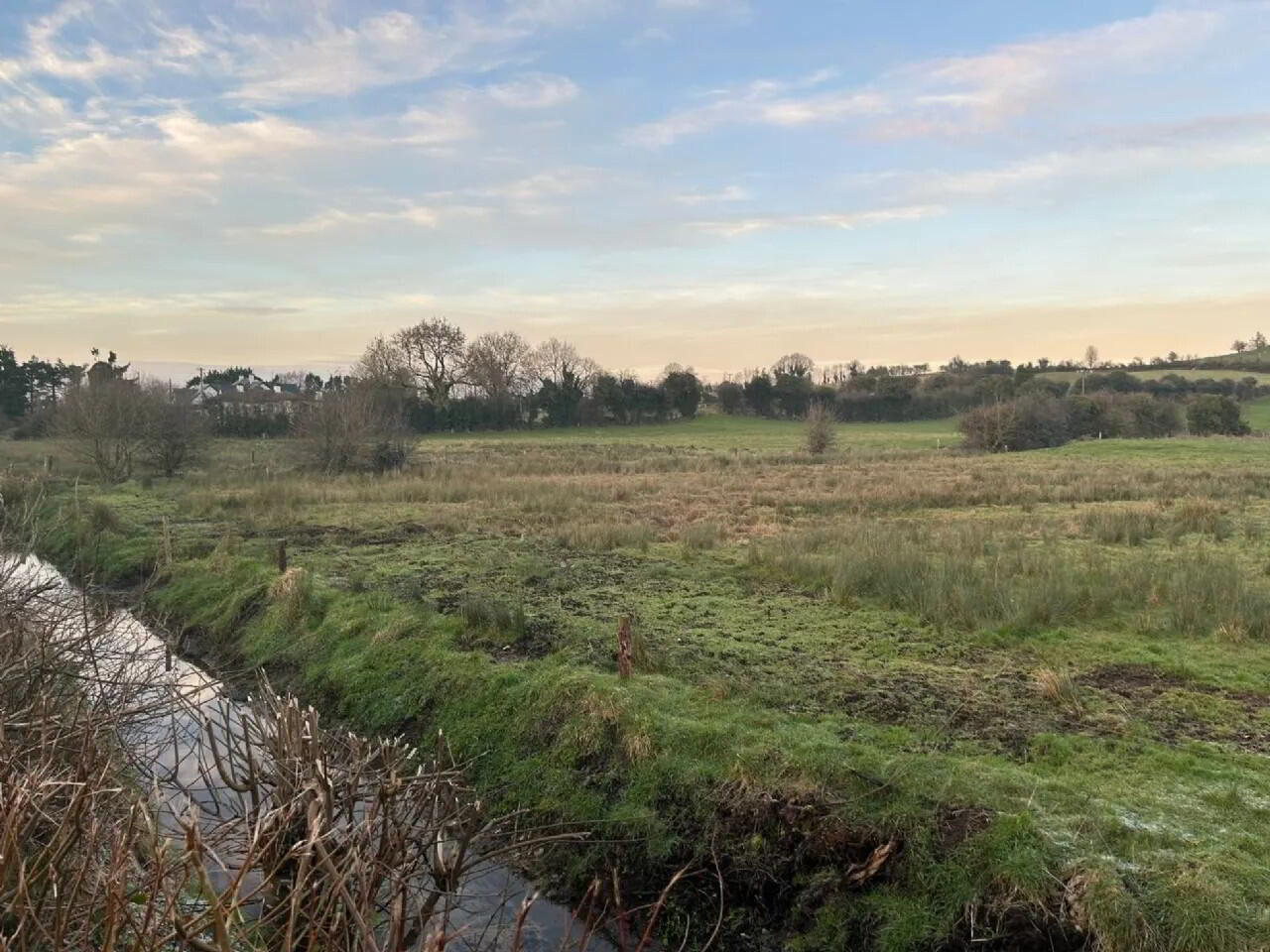 Site 2 Loughnavalley