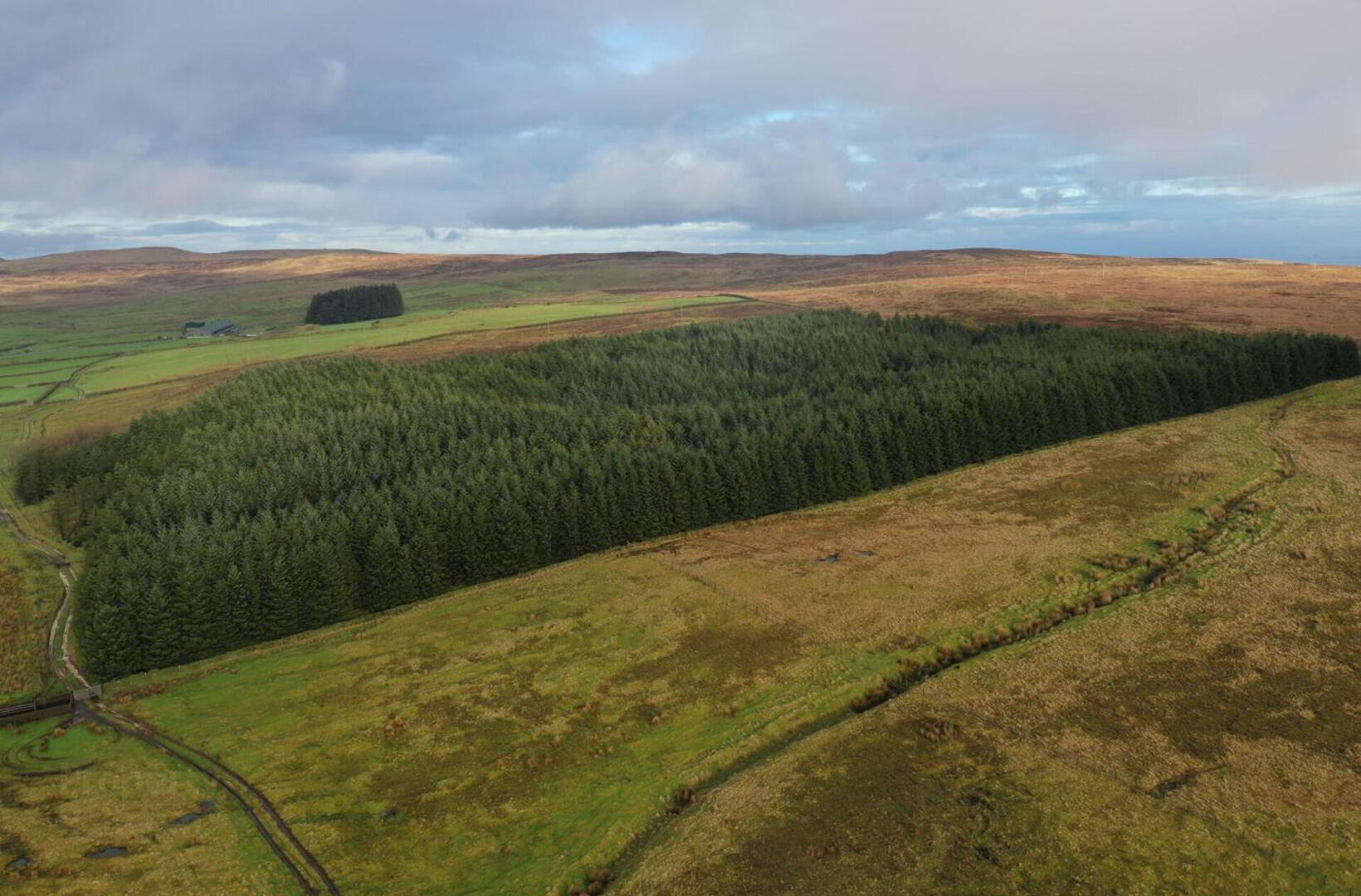 Forestry Land On Mullaghsandall Road