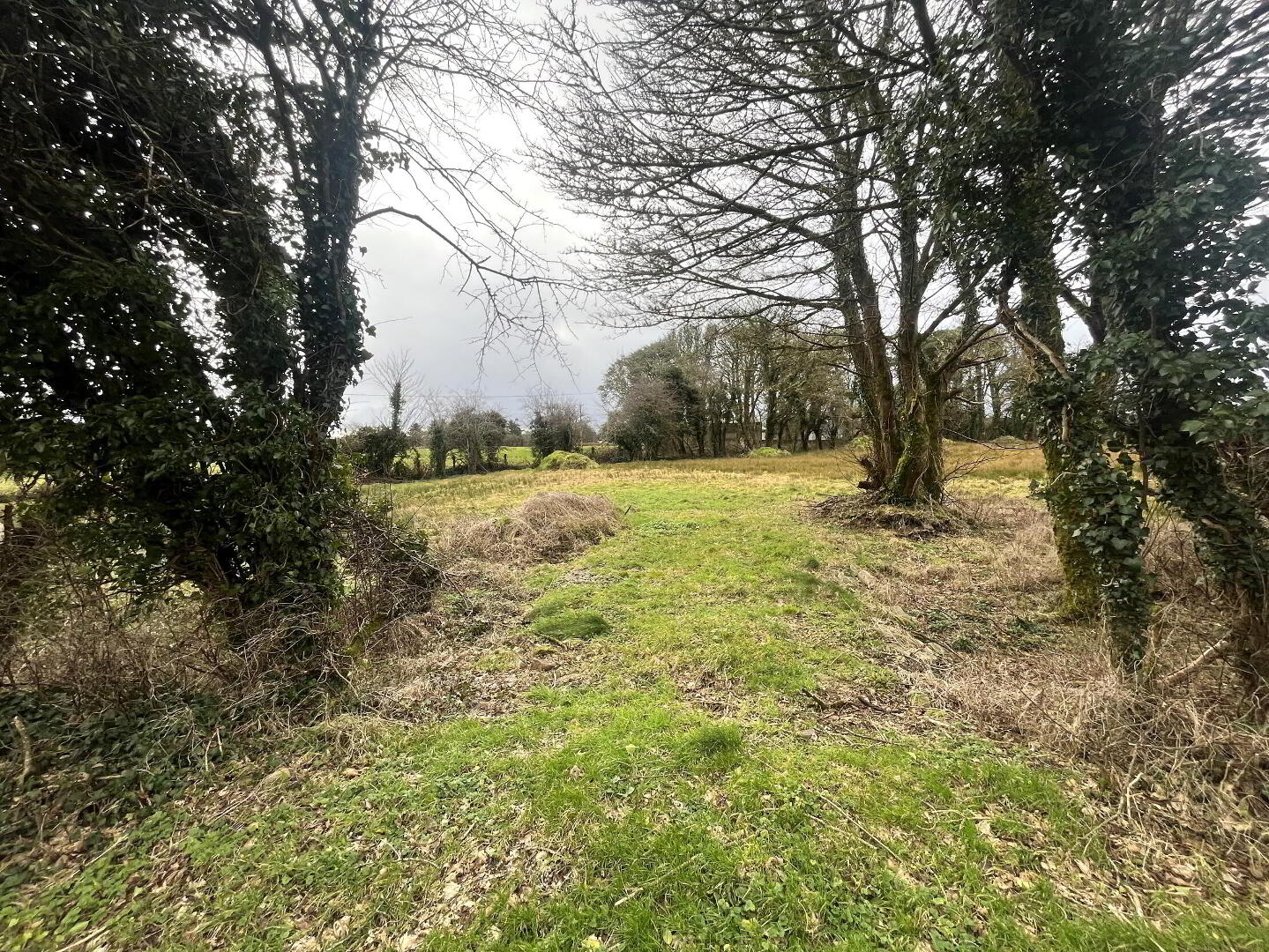 Circa 1.085 Acres, Site At Tonroe 4 of 11