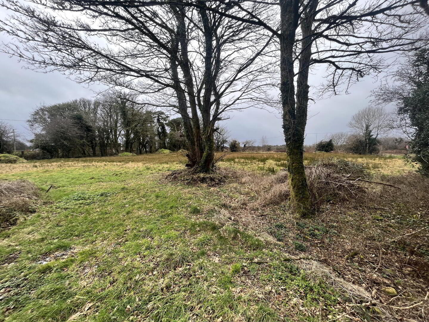 Circa 1.085 Acres, Site At Tonroe 6 of 11