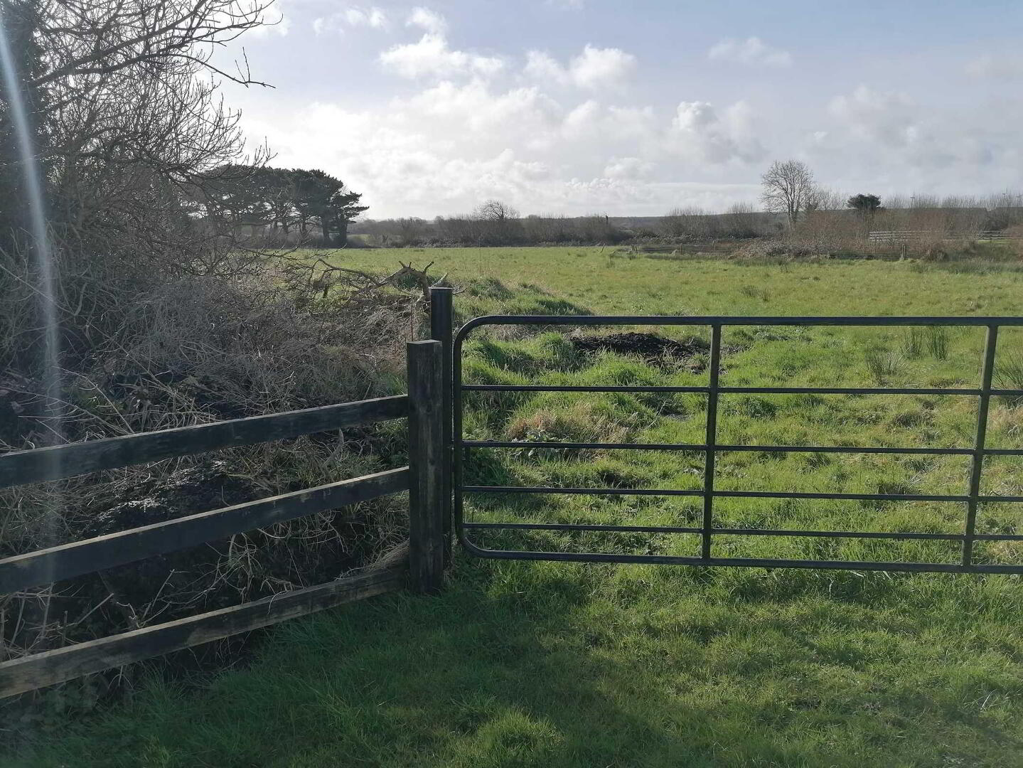 Site At, Rusheen 7 of 8