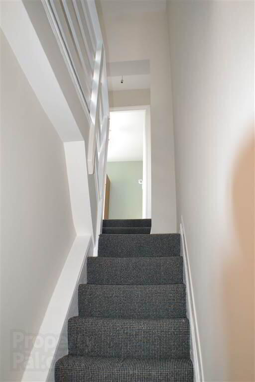 115 Edinburgh Street 3 of 7