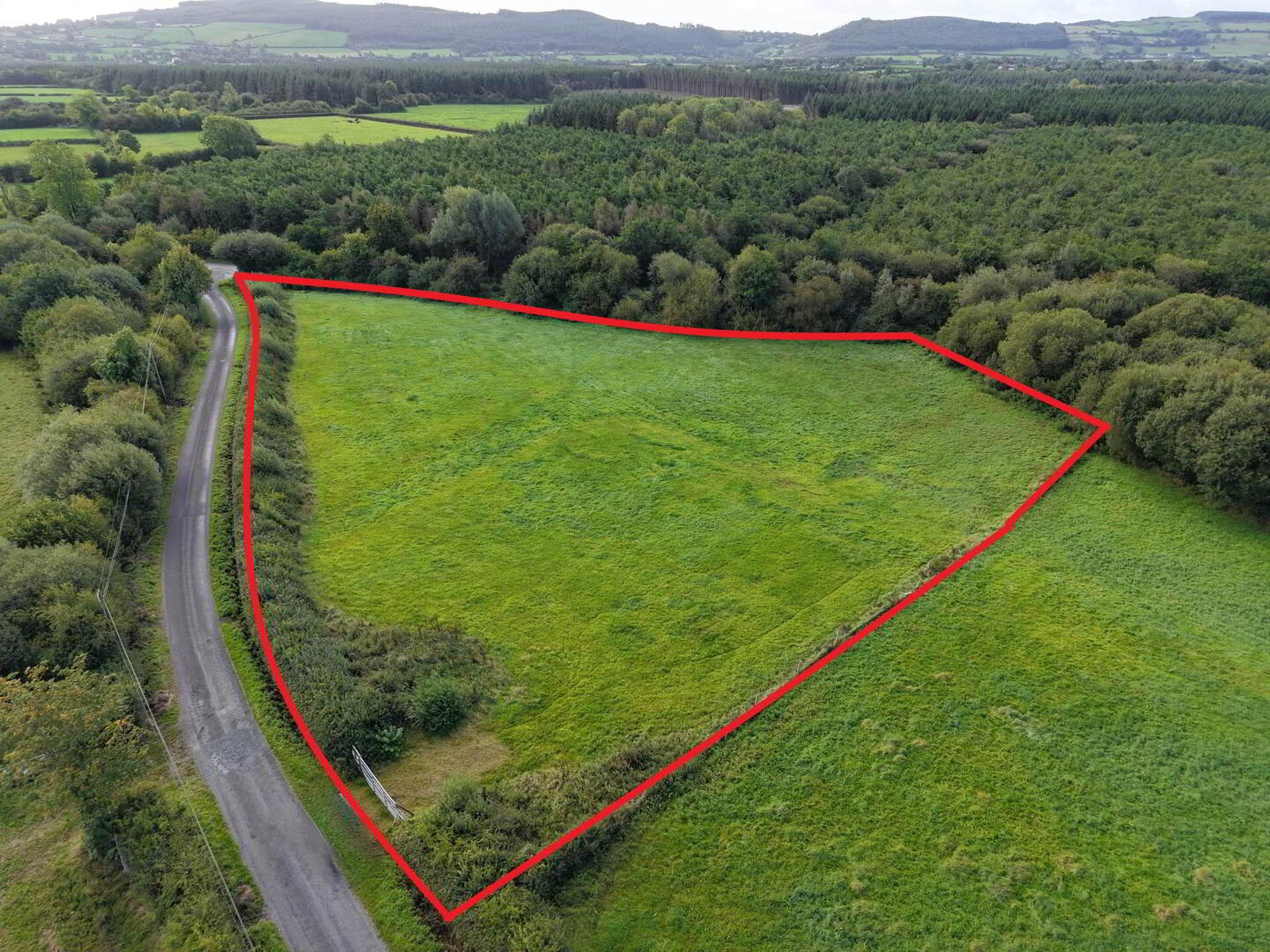 Ballylanigan 1 of 12