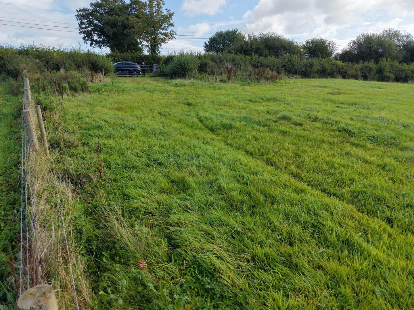 Ballylanigan 10 of 12