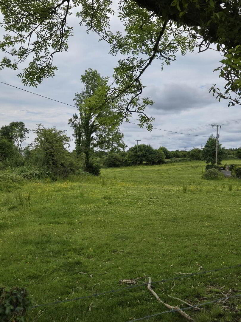 Le Carrow Killeen 3 of 6