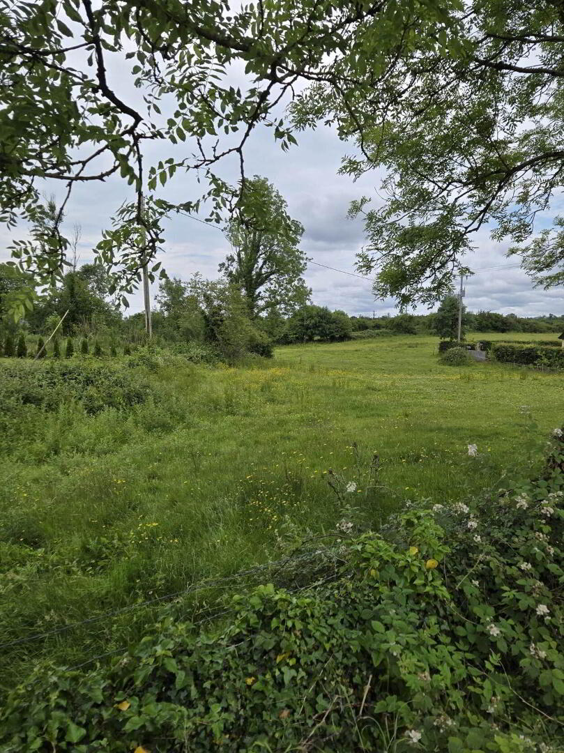 Le Carrow Killeen 4 of 6