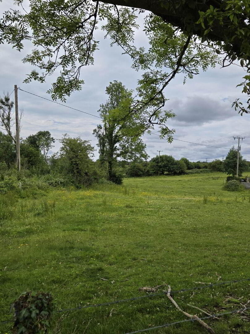 Le Carrow Killeen 2 of 6
