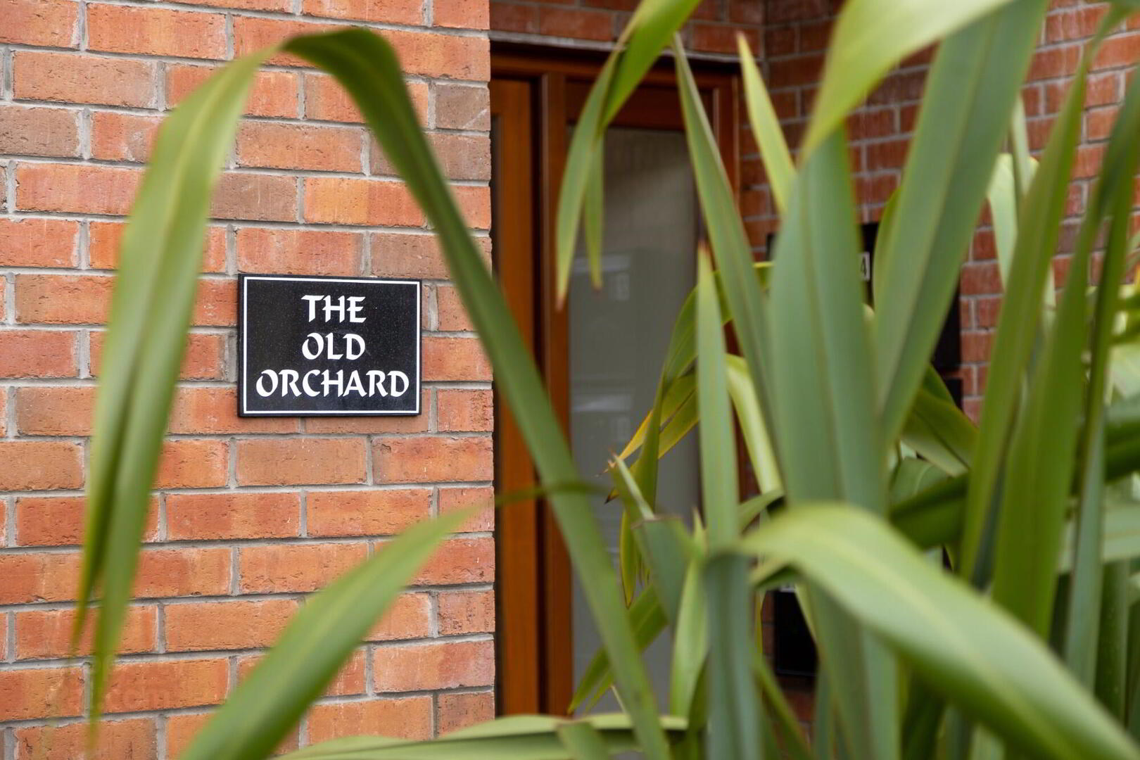 10 The Old Orchard