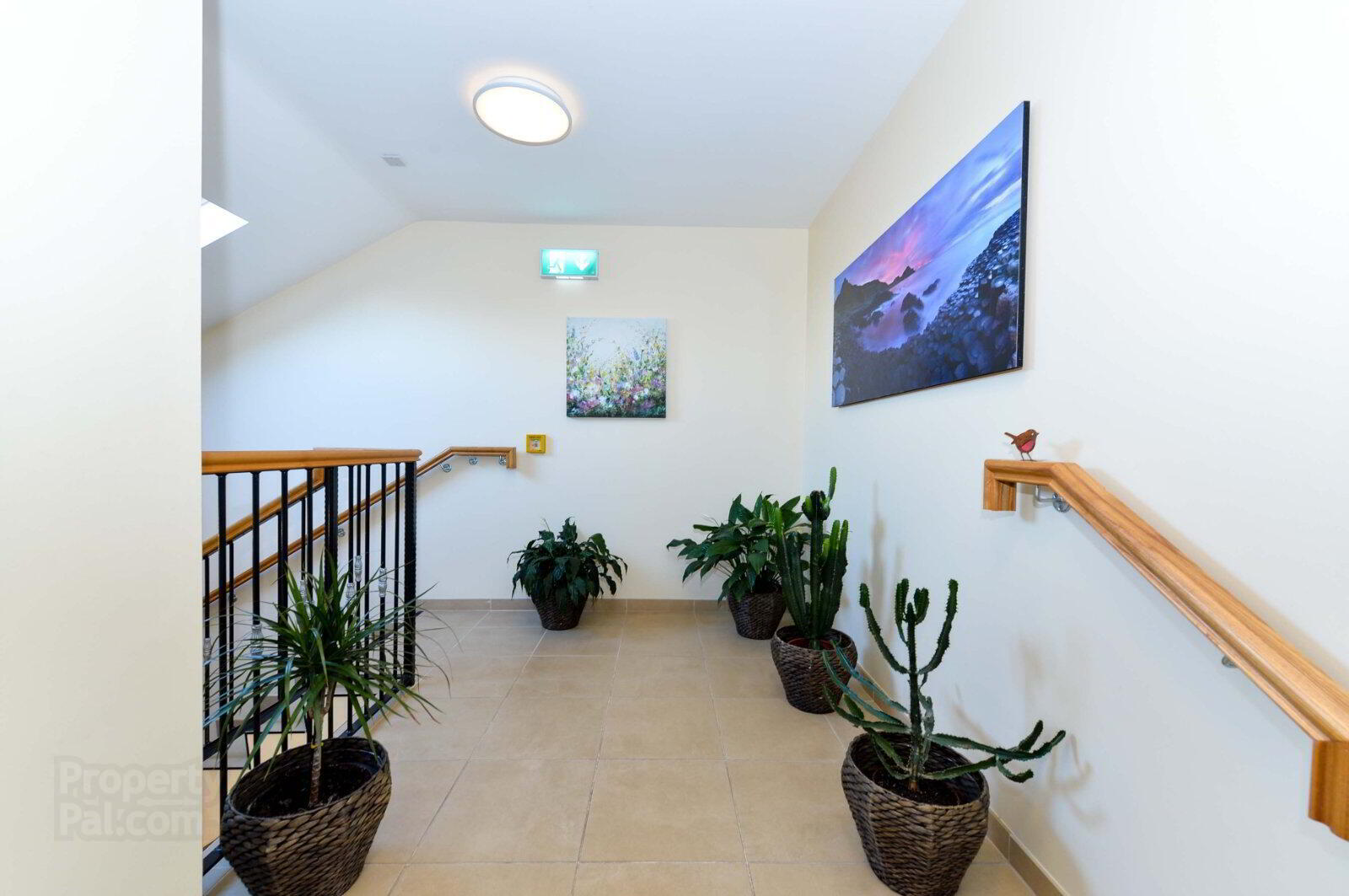 Apartment 9 14 Burghley Mews