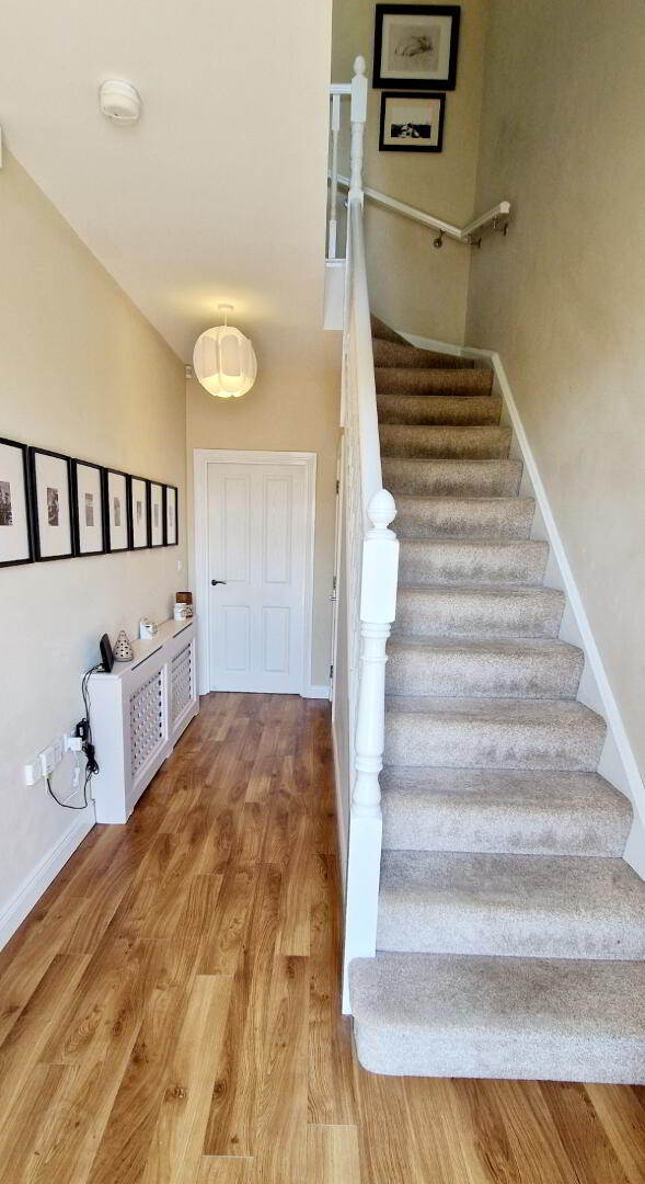 74 The Salmon Leap, Coleraine