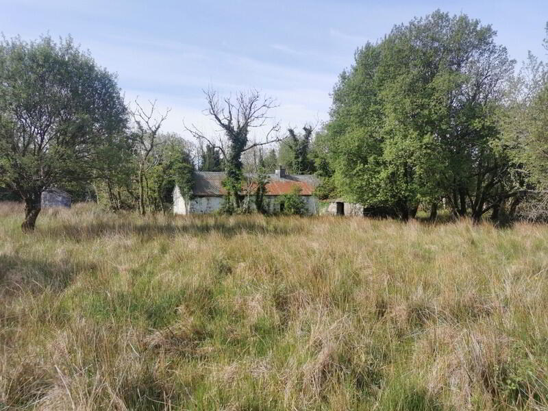 Connollys Cottage, Drumnasreane