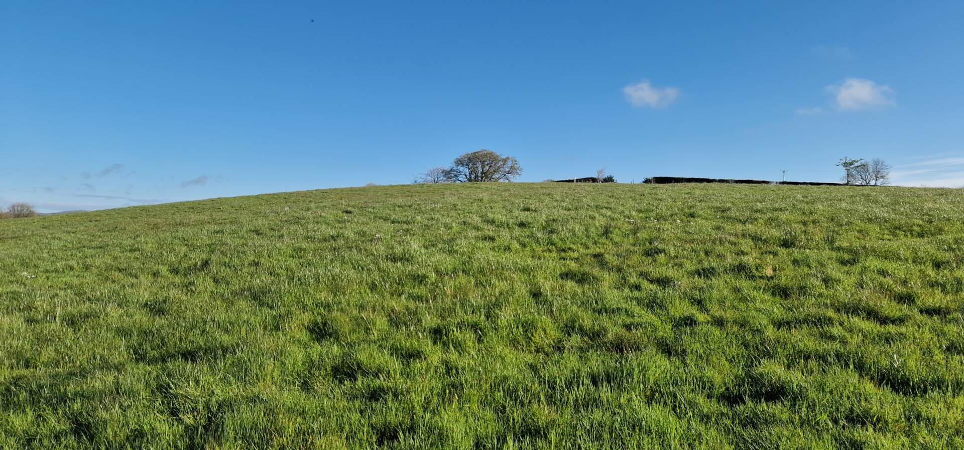 Circa, 0.8 Acre Building Site 3 of 11
