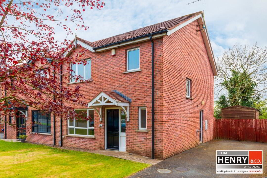 46 Hollyfields, Old Eglish Road, Dungannon