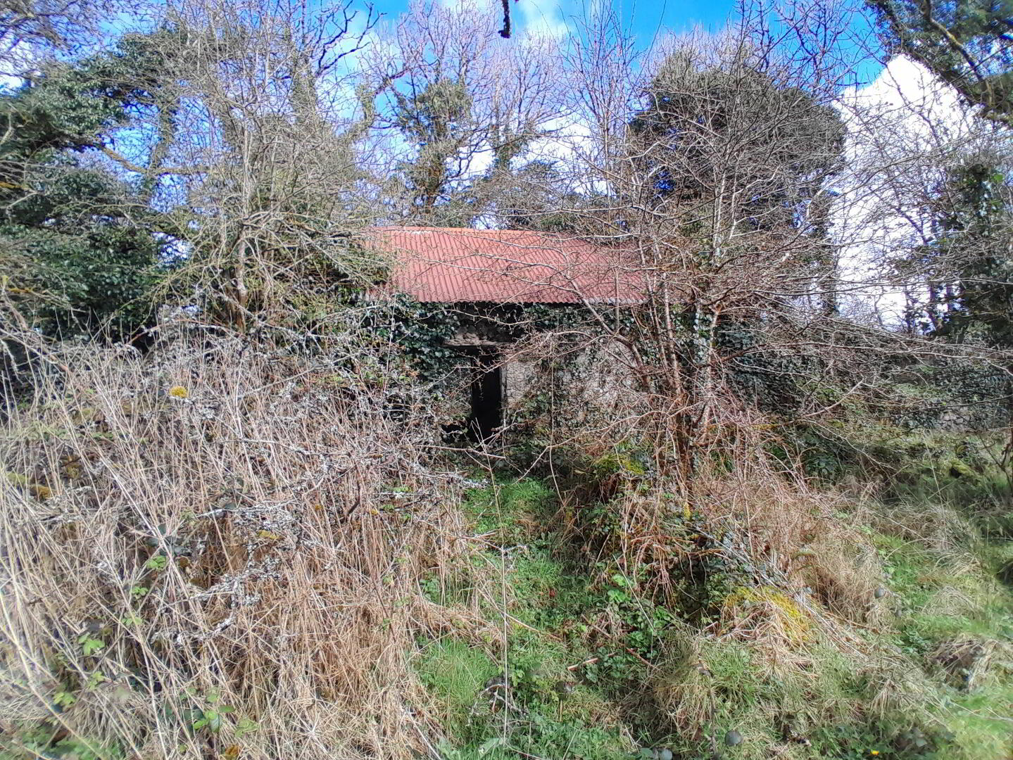 Derelict Cottage On 9.3 Acres