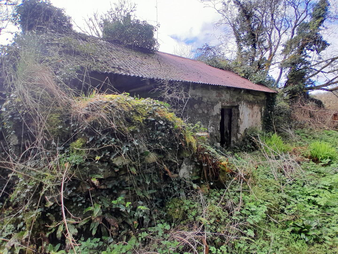 Derelict Cottage On 9.3 Acres