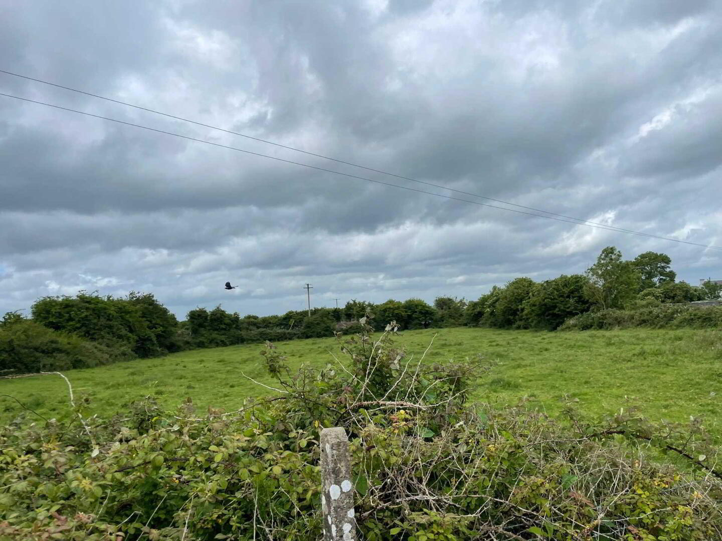Cahernablaghy 6 of 7