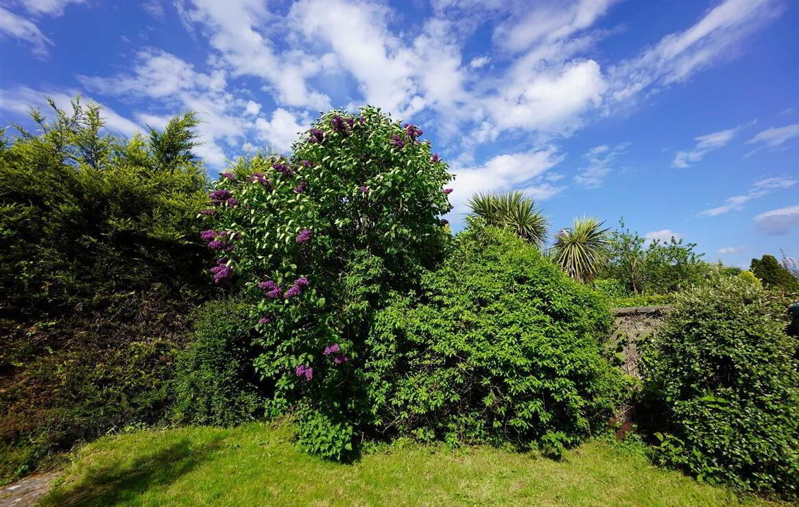 8 Meadow Court 43 of 52