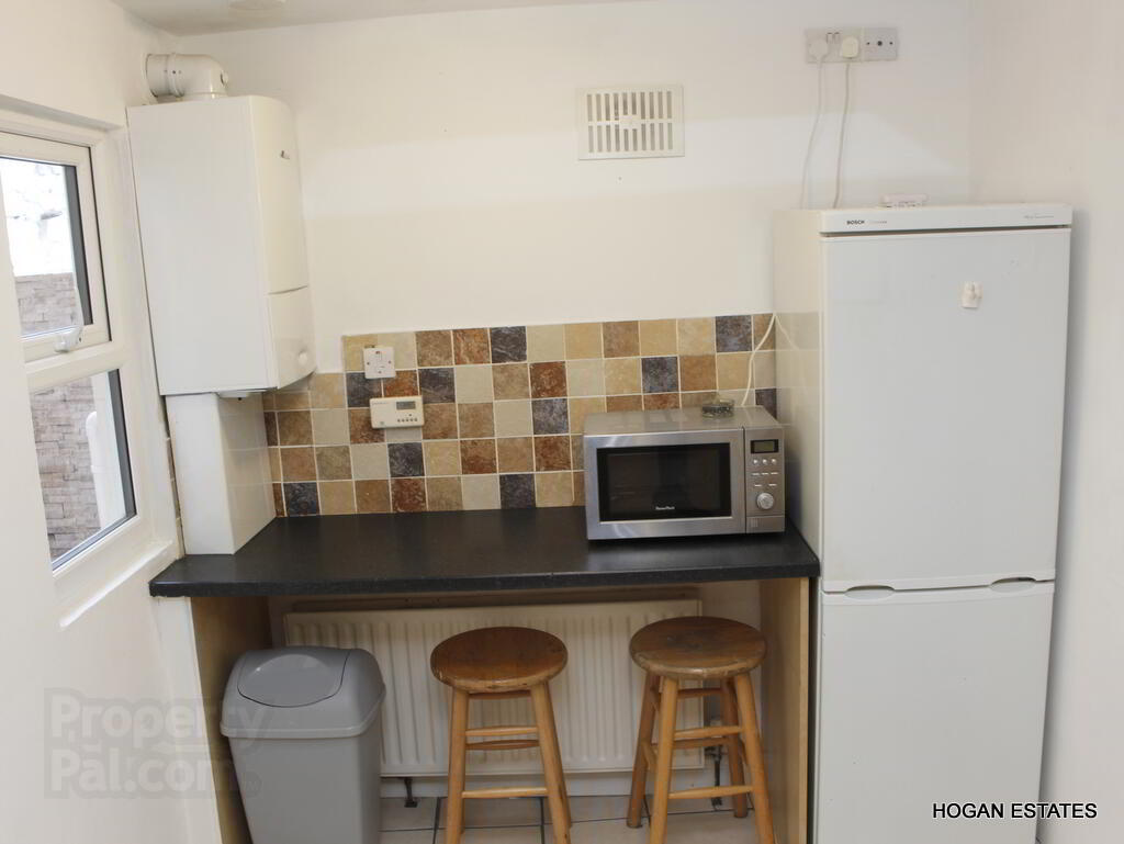 6 St Mary's Terrace 11 of 20