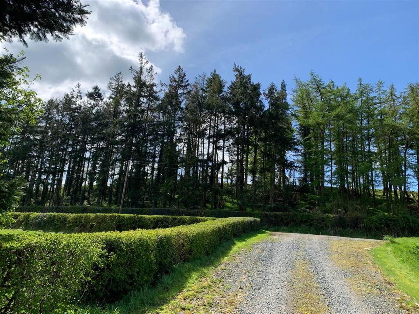 Approximately 4.7 Acres Of Agricultural Land, Oppo, 85 Ballycreen Road