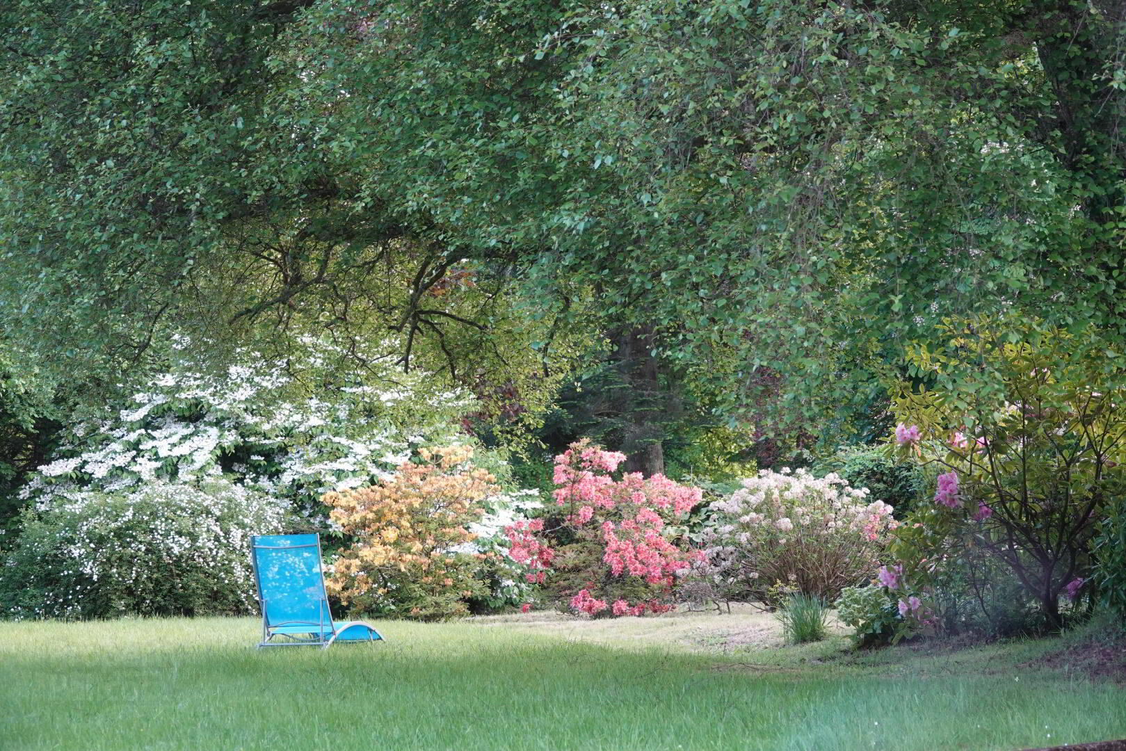 Invereske, The Glebe 19 of 27