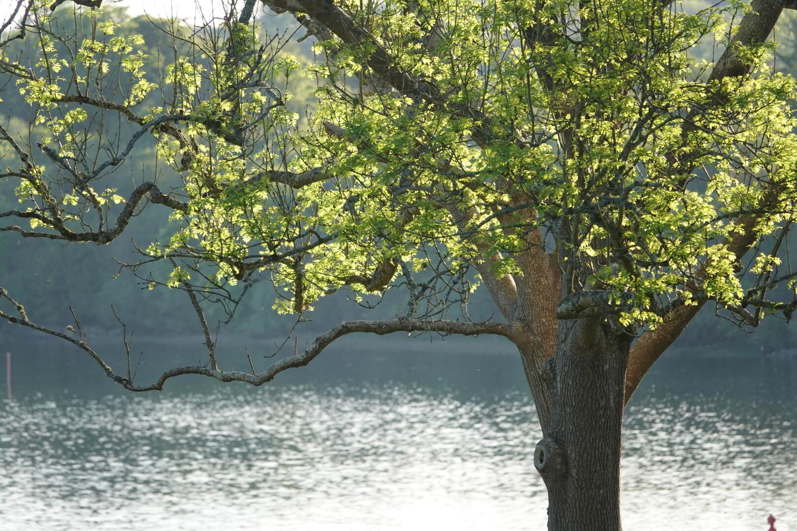 Invereske, The Glebe 24 of 27