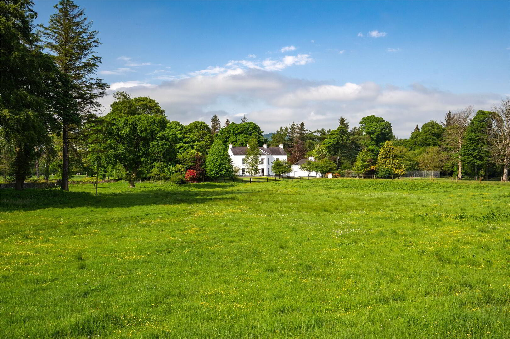 Edenmore House 27 of 38