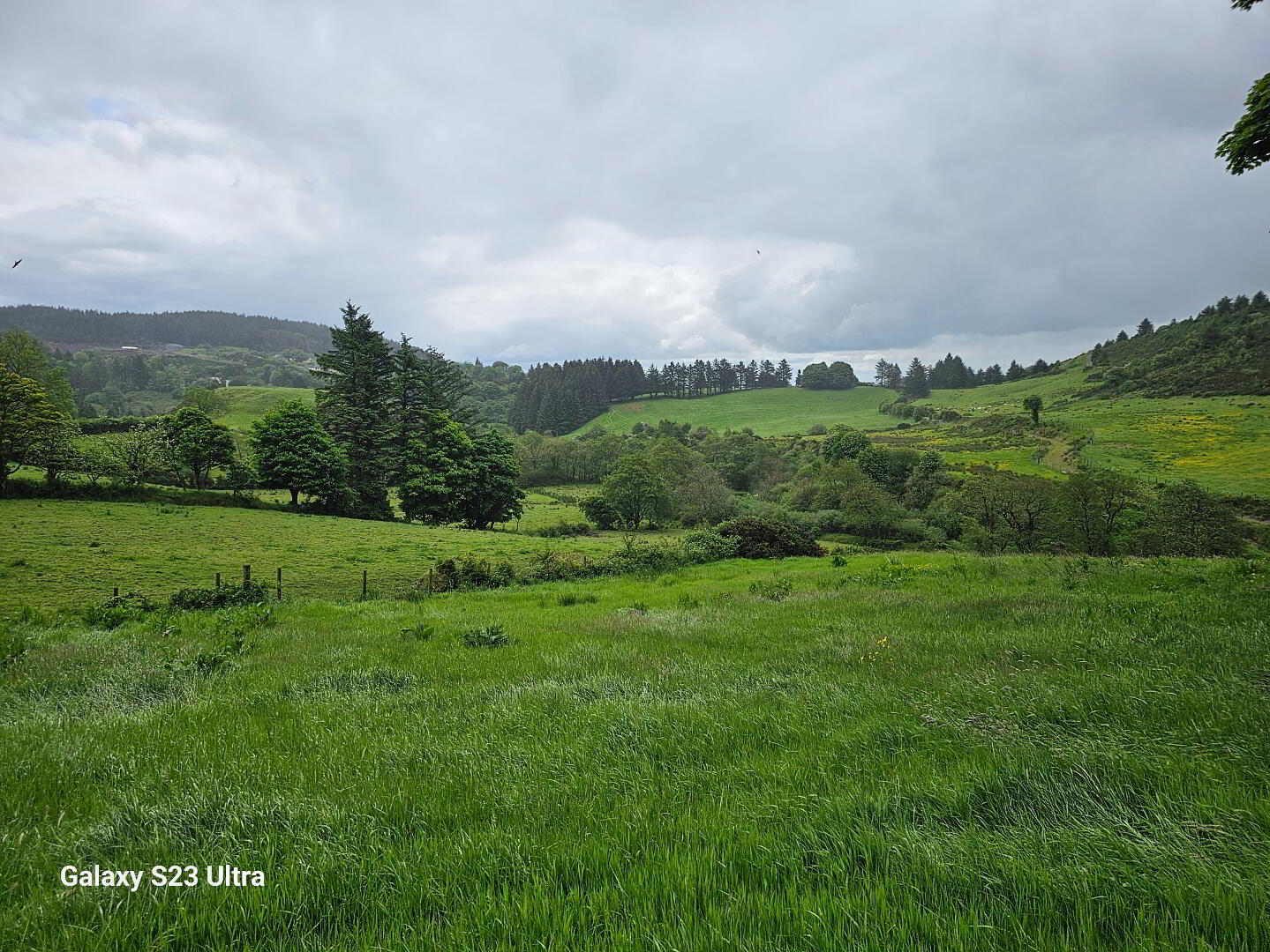 Lands At Crannogue, Lurgylea Road