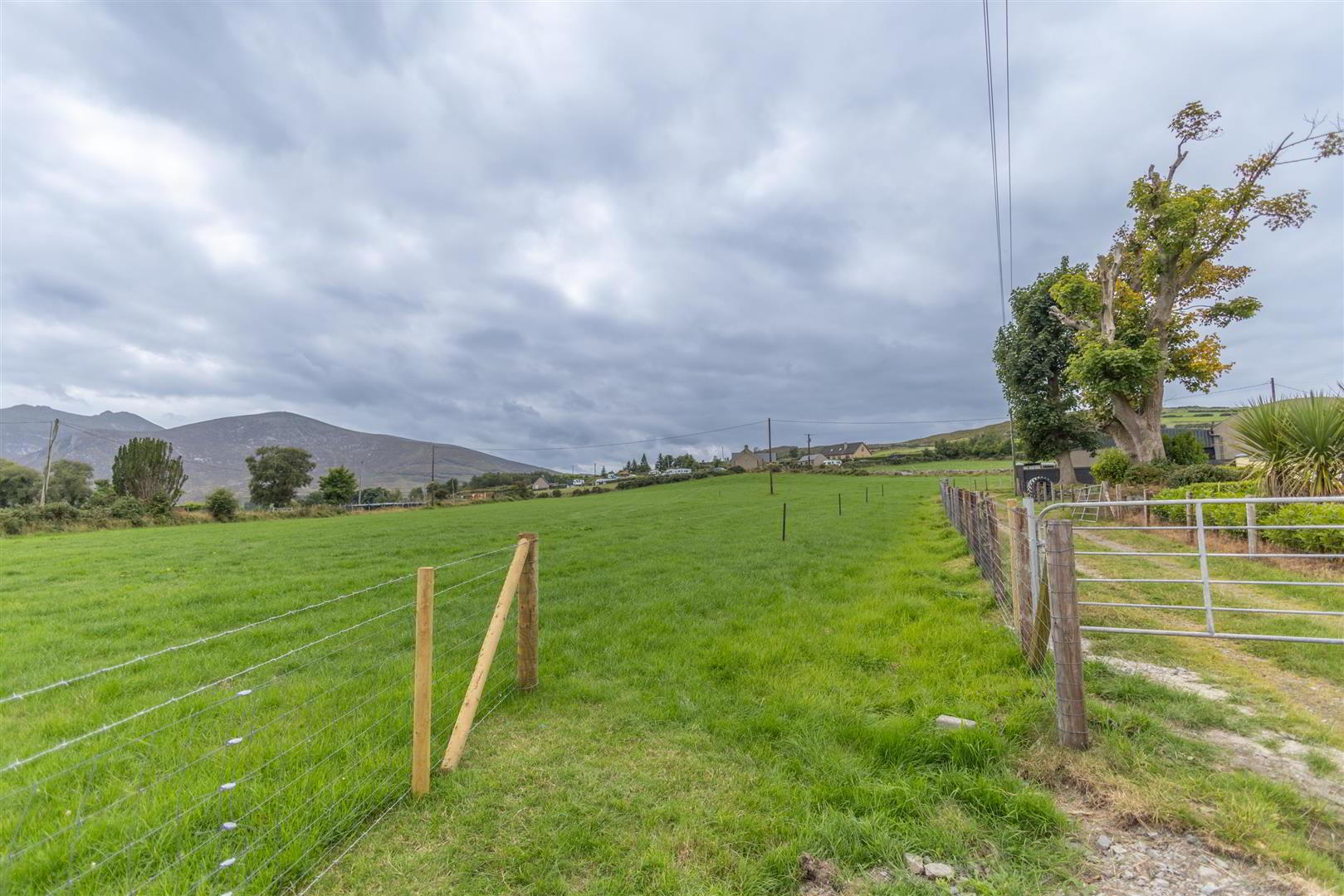 42m South Of, 155 Bryansford Road 4 of 7