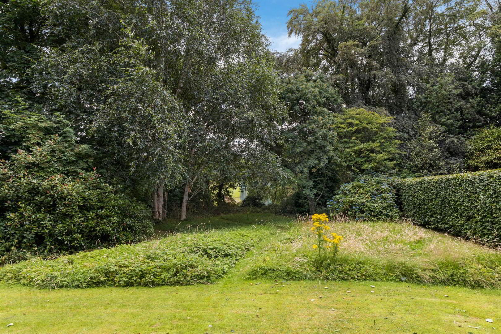 Chrome Hill Cottage, 10 Ballyskeagh Road 13 of 17