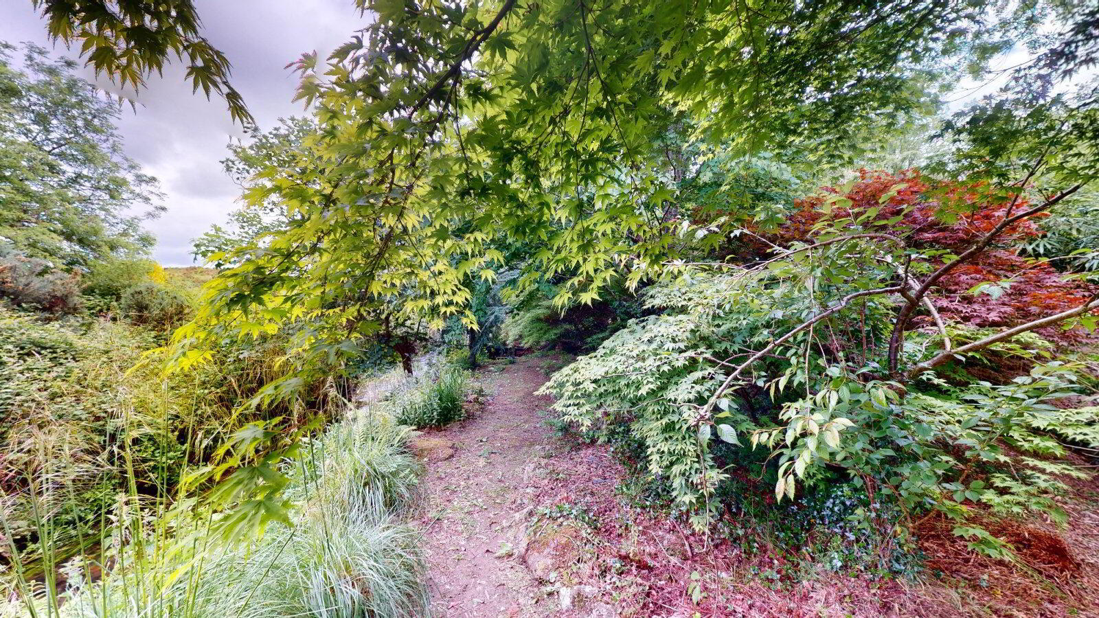 Ballyshannon Lane 35 of 43