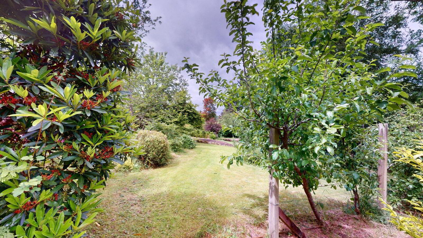Ballyshannon Lane 41 of 43