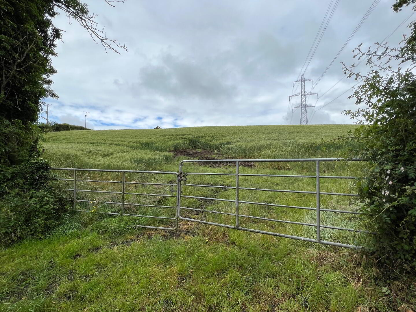 Approx 15.5 Acres Of Land, Adjacent To 34 Duneane Road