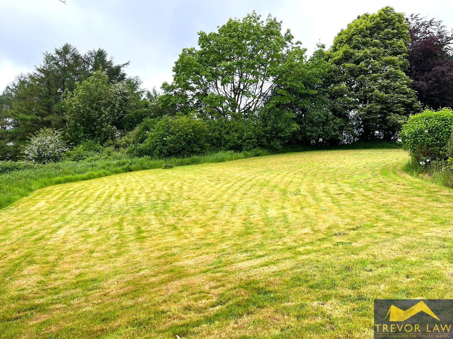 62 Dungannon Road 35 of 44