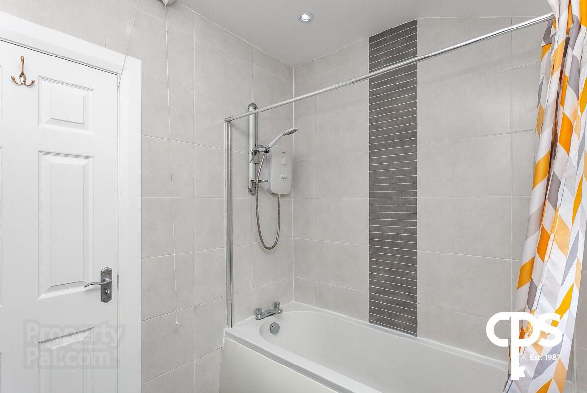 132 Ballynahinch Road 8 of 11