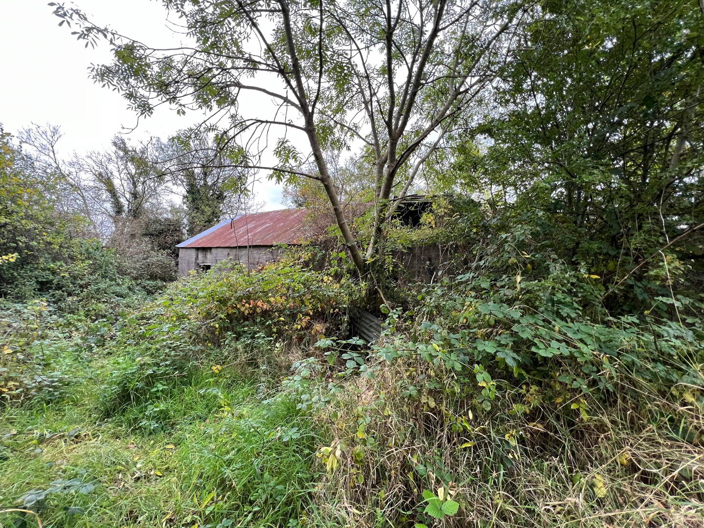 Approx 11.5 Acres Of Land Behind, 20 Pipe Road