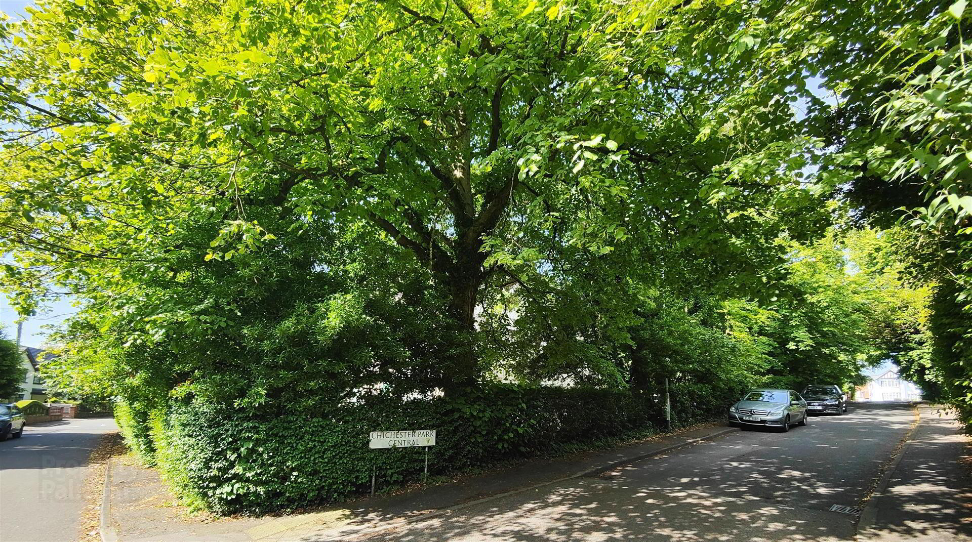 Apt 5 Ardelia House, 3 Chichester Park South 17 of 18