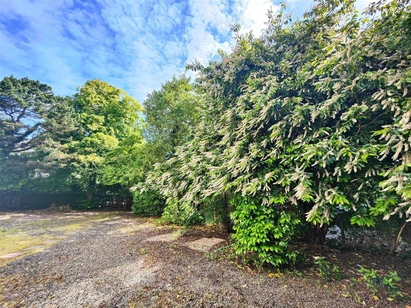Apt 5 Ardelia House, 3 Chichester Park South 16 of 18