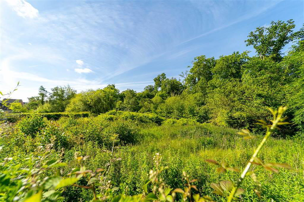 78a Rathgael Road 21 of 26