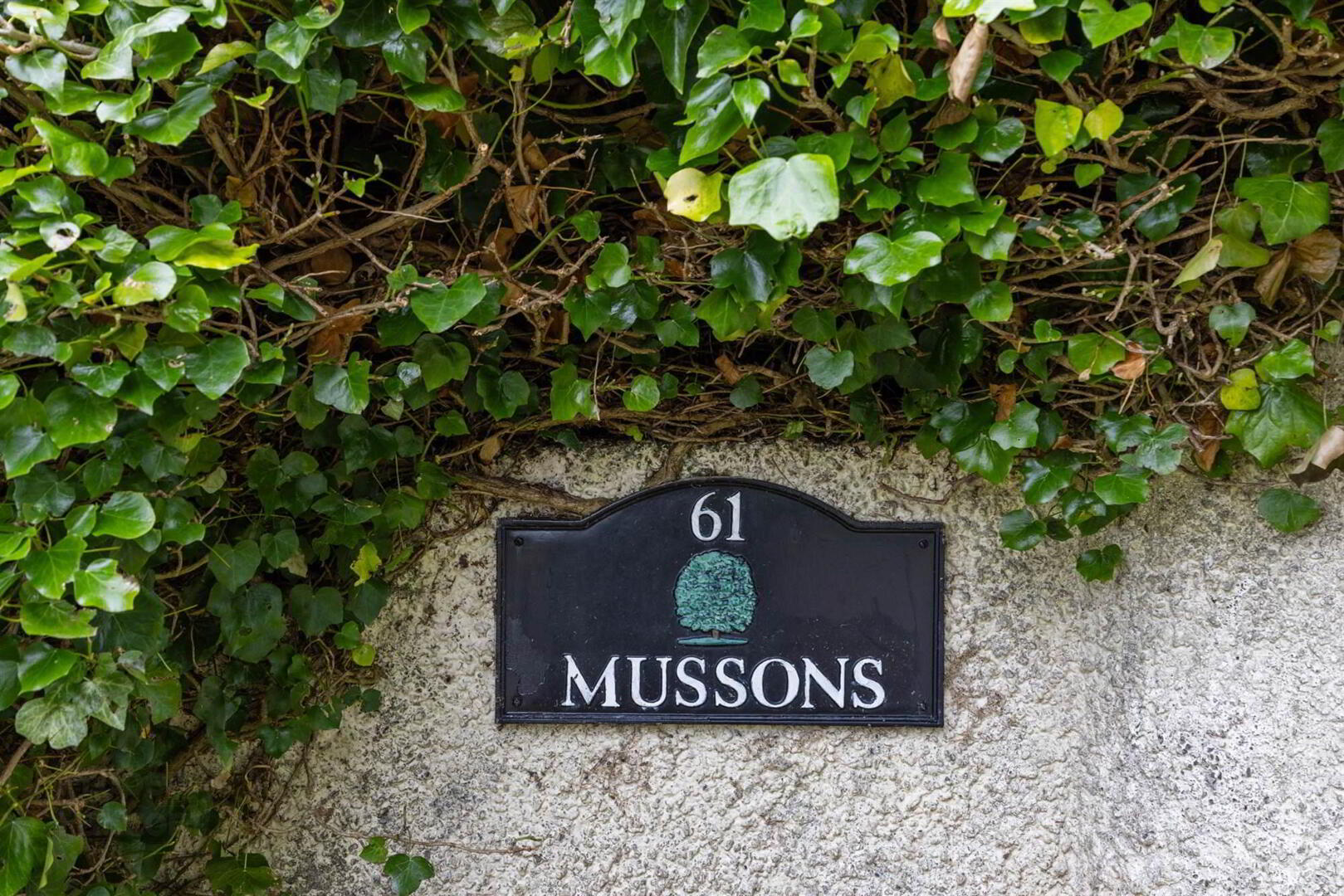 ' Mussons ', 61 Carricknadarriff Road