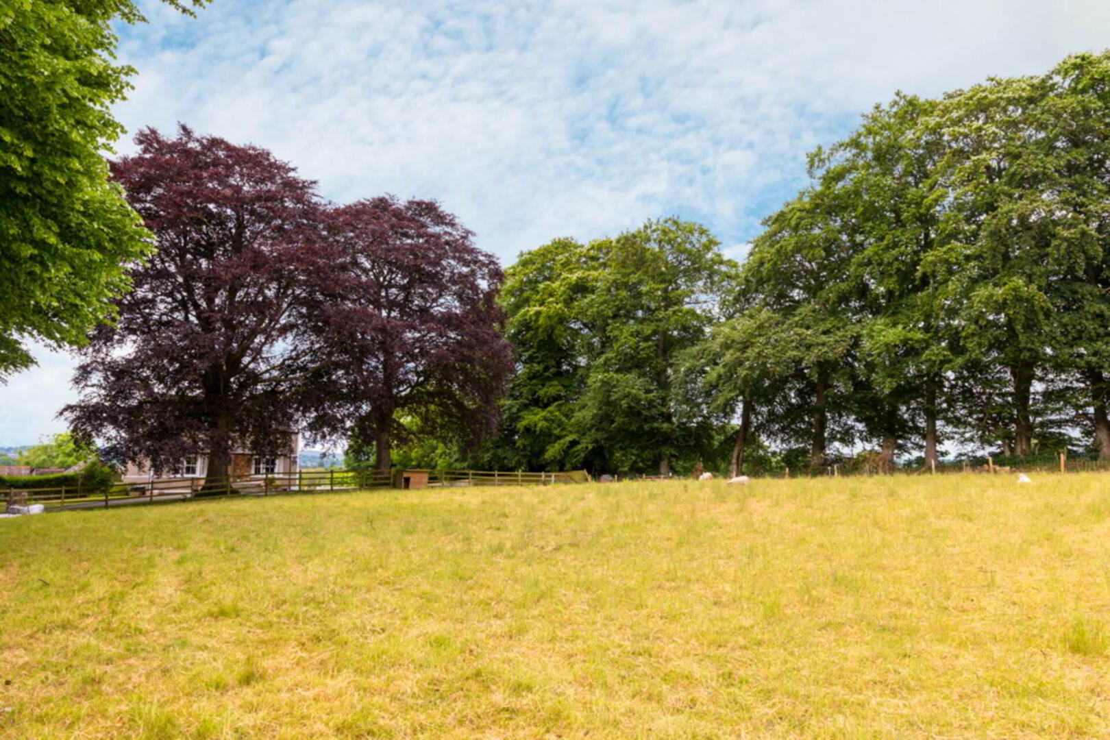 141 Templepatrick Road 42 of 50