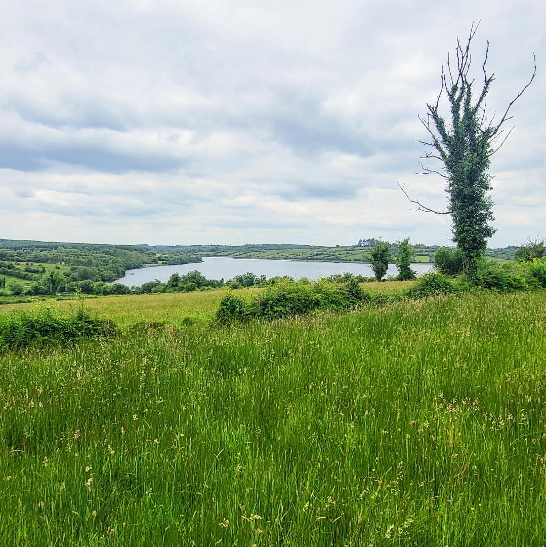 Lake View 4 of 8