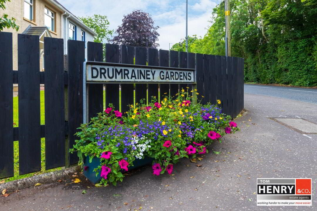 20 Drumrainey Gardens