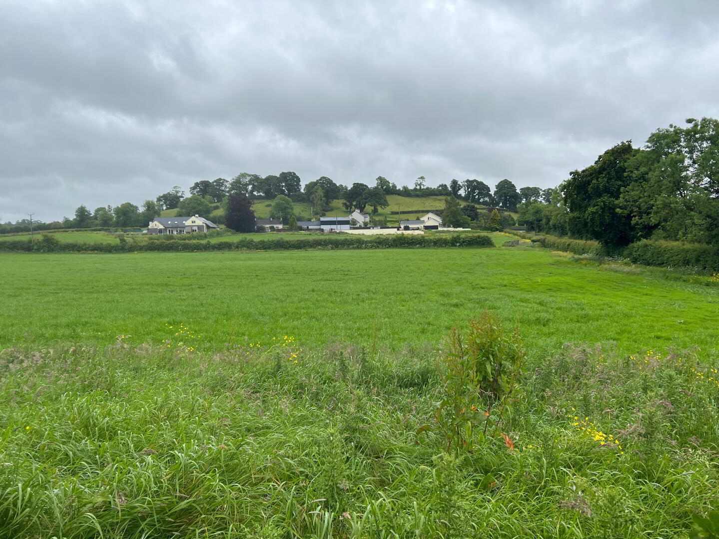13.54 Acres Of Land Off Favour Royal/Old Chapel Rd, Site Off Favour Royal Rd
