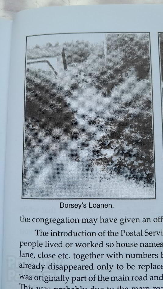 "Dorsey's Cottage"
