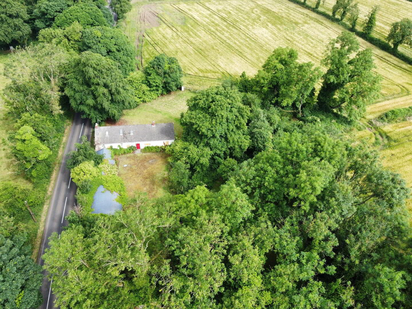 Rock Cottage, 70 Springhill Road 7 of 23
