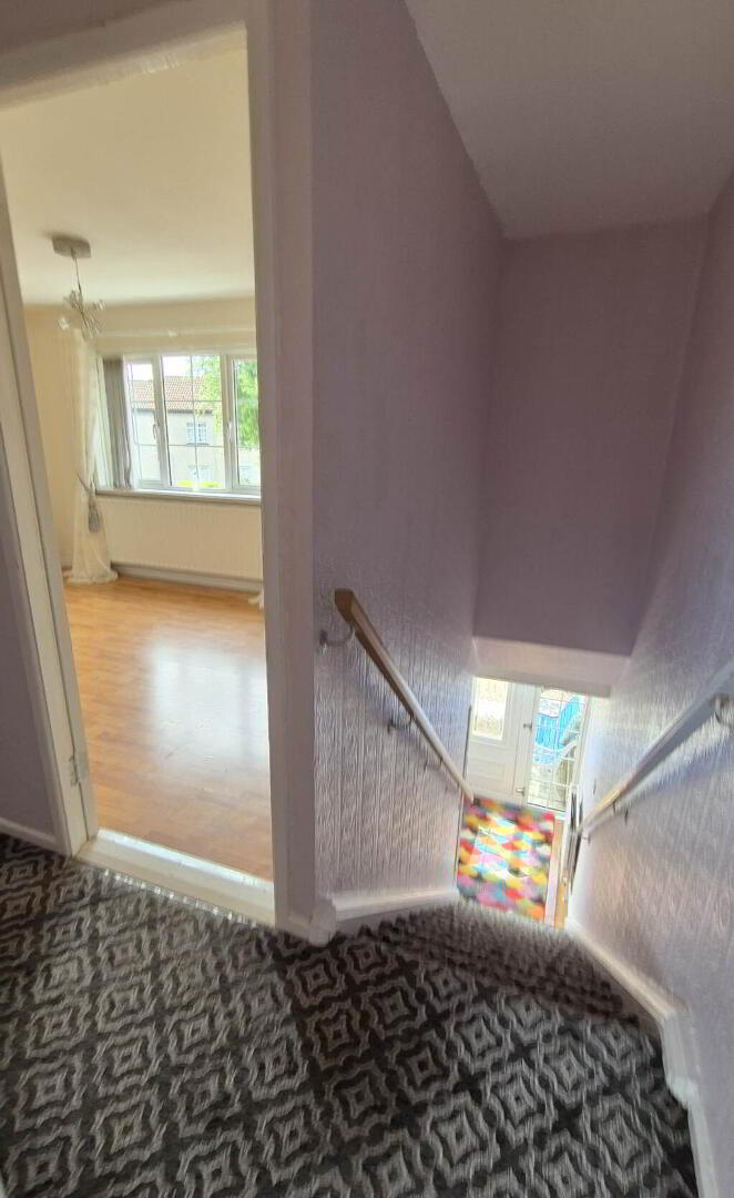 16 Westland Street 15 of 25