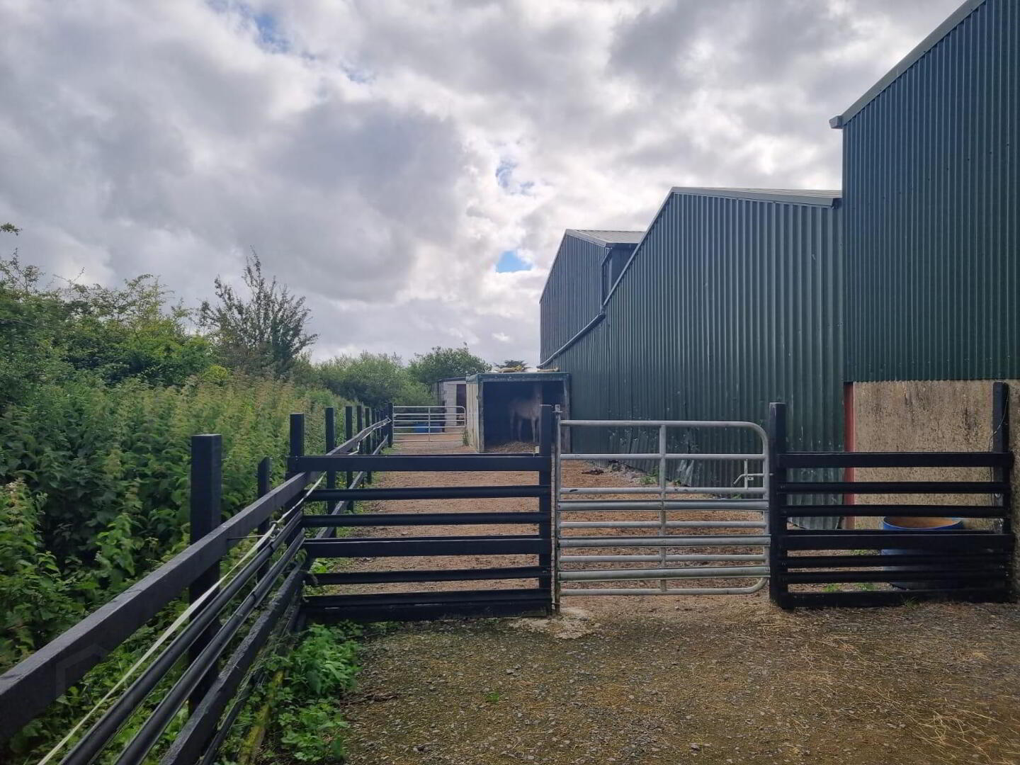 Whitethorn Equestrian Centre 4 of 33